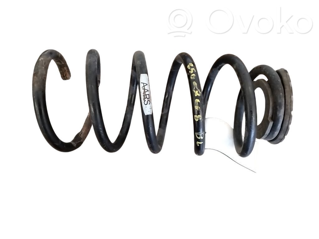 Muelle espiral trasero   13433131