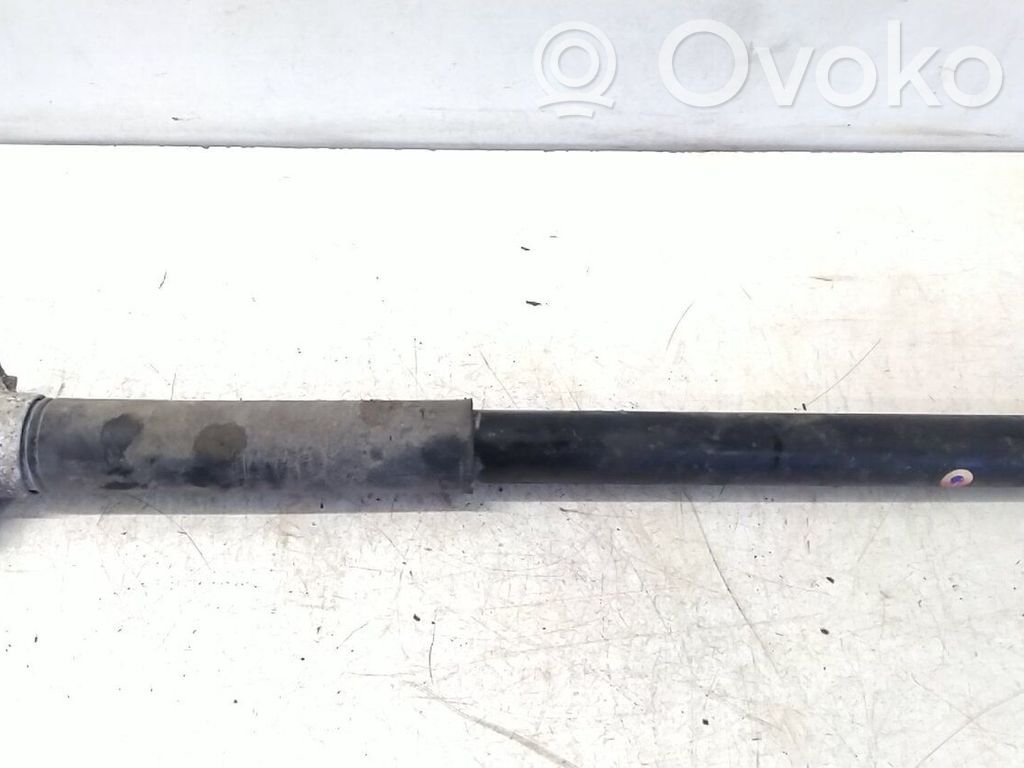 Stoßdämpfer hinten   1751385
