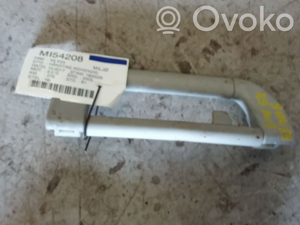 BMW X5 E53 Manecilla interna puerta delantera 
