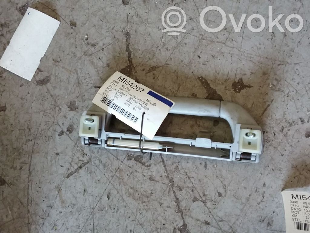 BMW X5 E53 Manecilla interna puerta delantera 