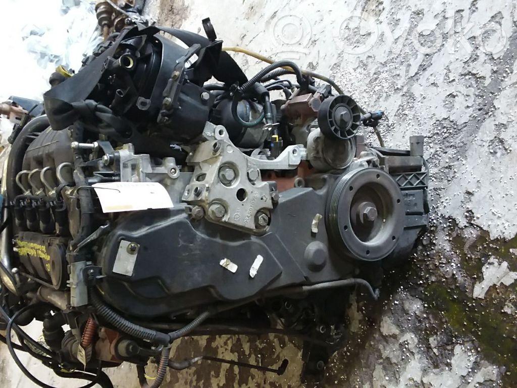 Motor