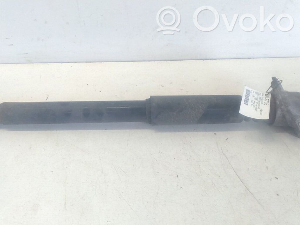 Volkswagen PASSAT B7 Ammortizzatore posteriore 