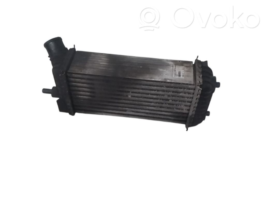 Radiador intercooler   Y64213550