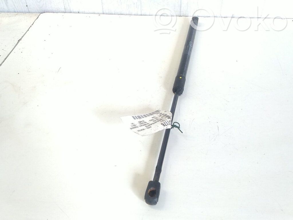 Citroen C4 II Ammortizzatore portellone posteriore/bagagliaio 
