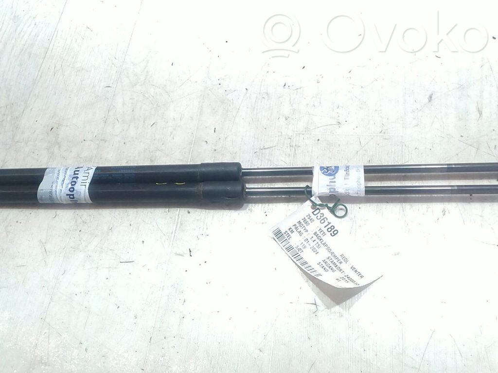 Skoda Yeti (5L) Vérin de capot arrière 