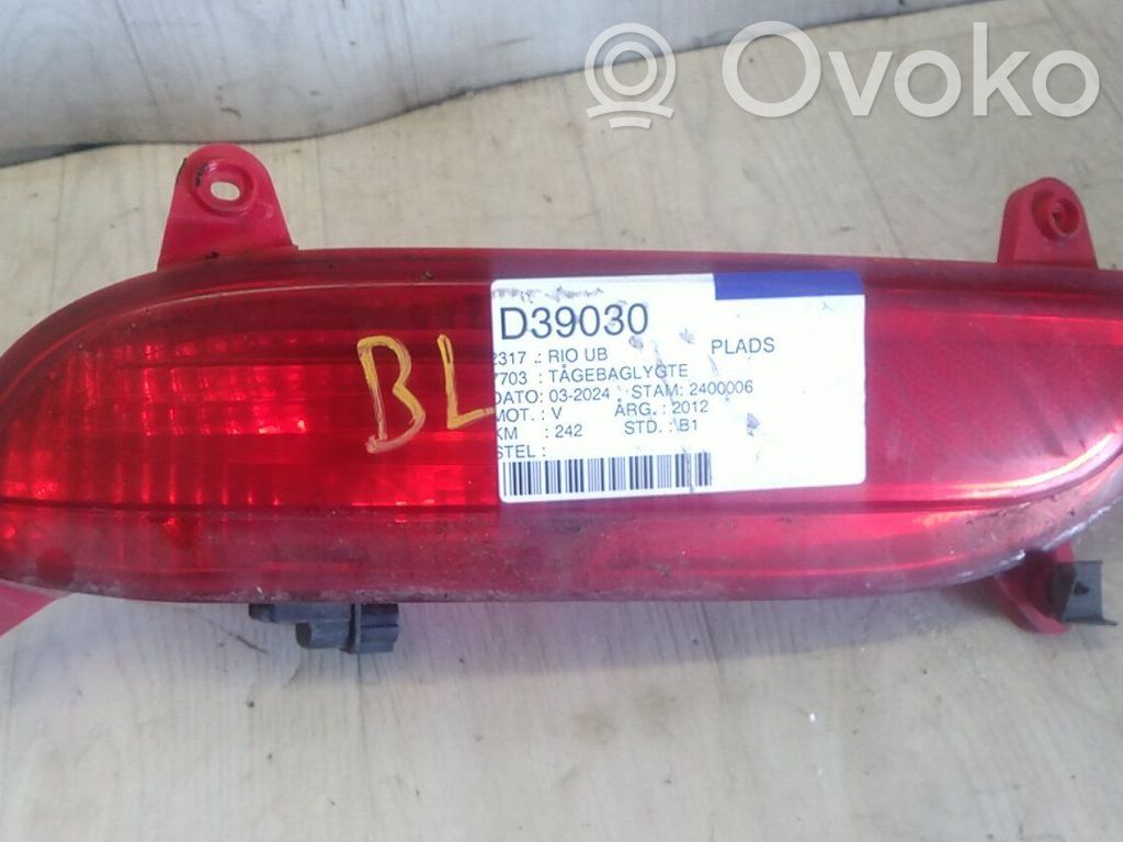 Fendinebbia posteriore   924051W200