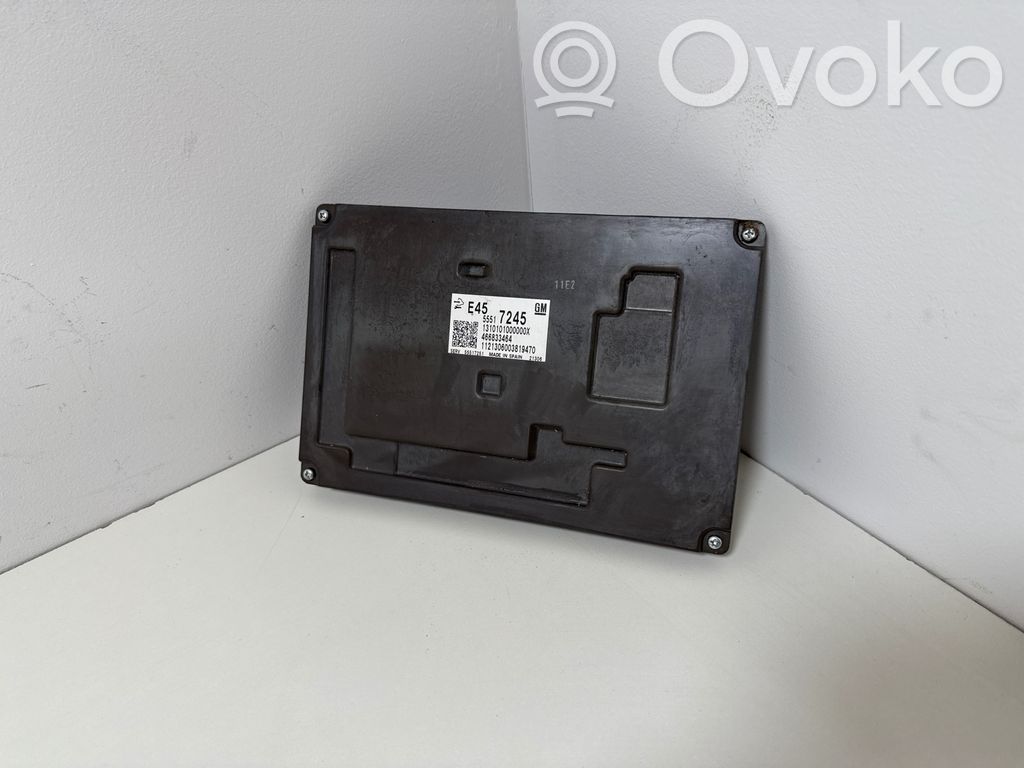 Engine control unit/module   55517245,1310101000000X,466833464