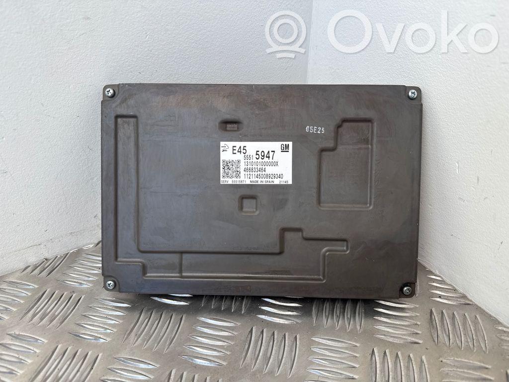 Engine control unit/module   55515947,55515671,466833464,1310101000000X