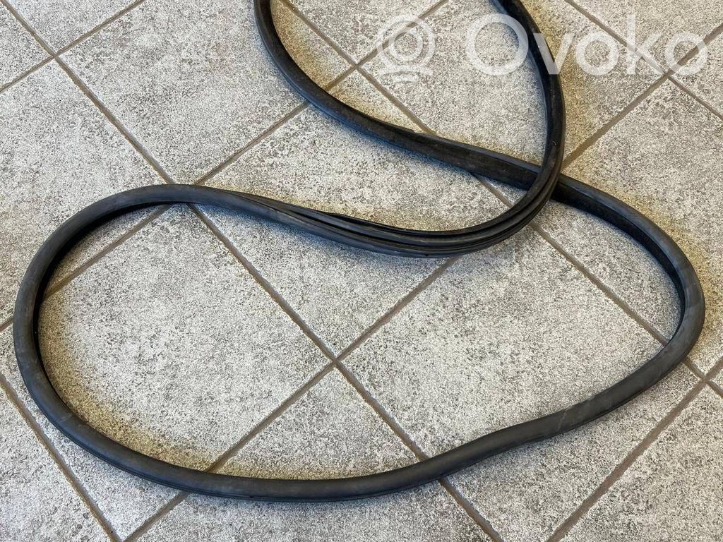 BMW 5 F10 F11 Front door rubber seal 