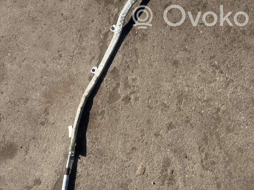 Audi A8 S8 D3 4E Roof airbag 