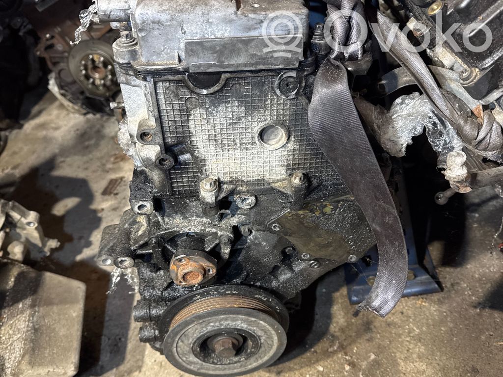 Motor