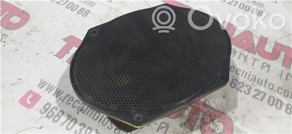 Panel speaker   5010180