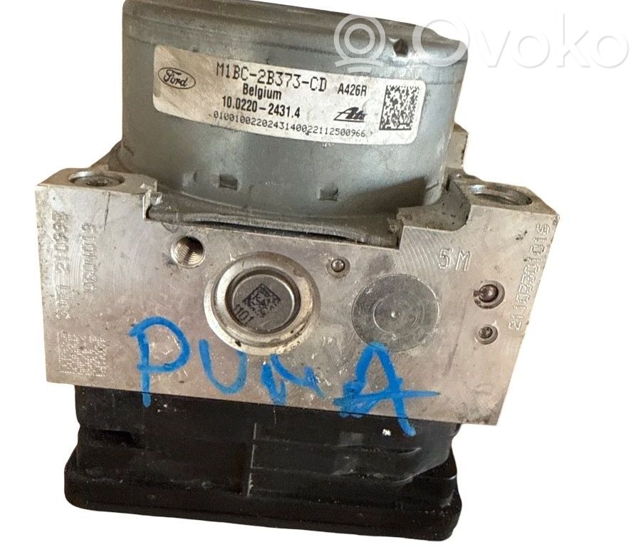 ABS Pump   BC2B373CD