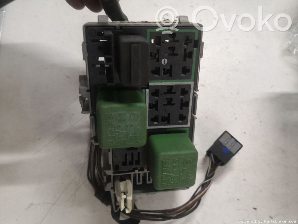 Fuse module   09115142