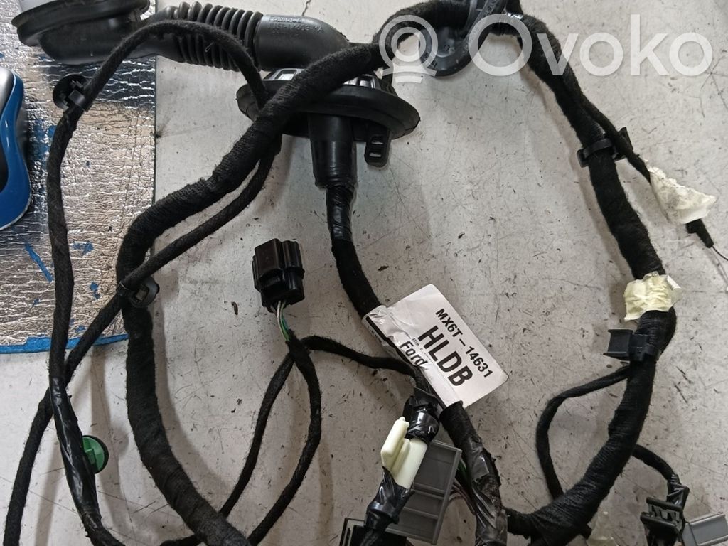 Ford Focus Cableado de puerta delantera 