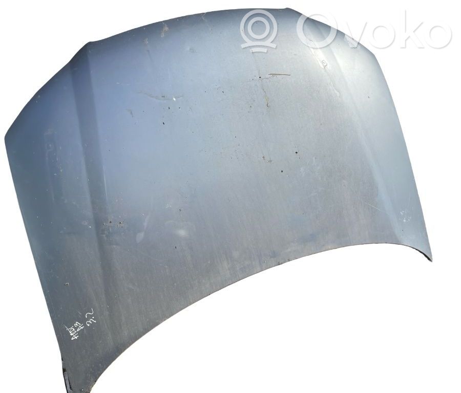 Konepelti   8P0010187J