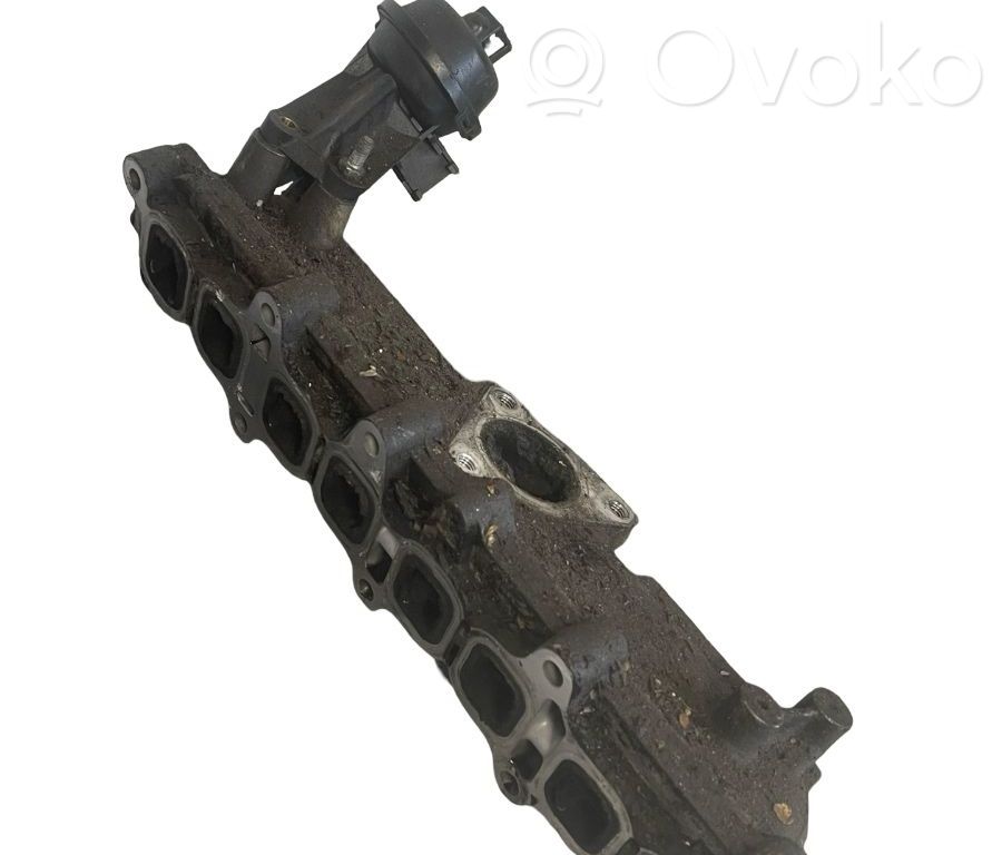Kolektorius įsiurbimo   8973134590