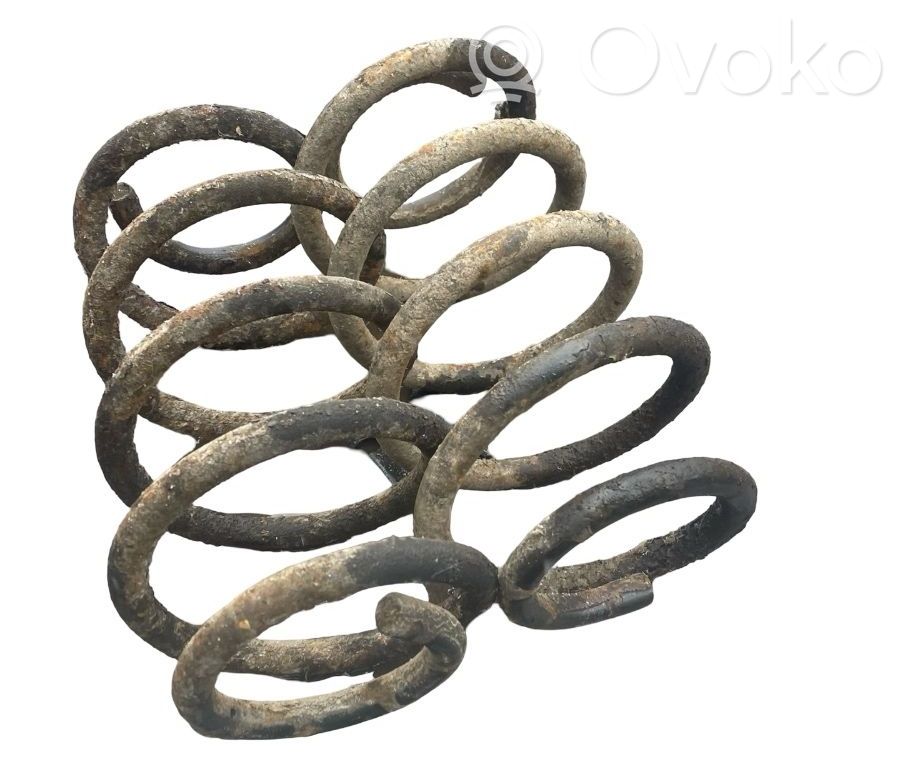Feder hinten