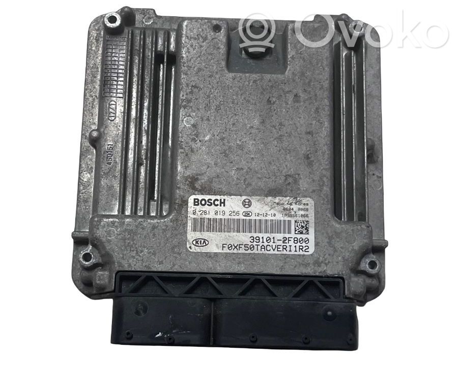 Engine control unit/module ECU   391012F800