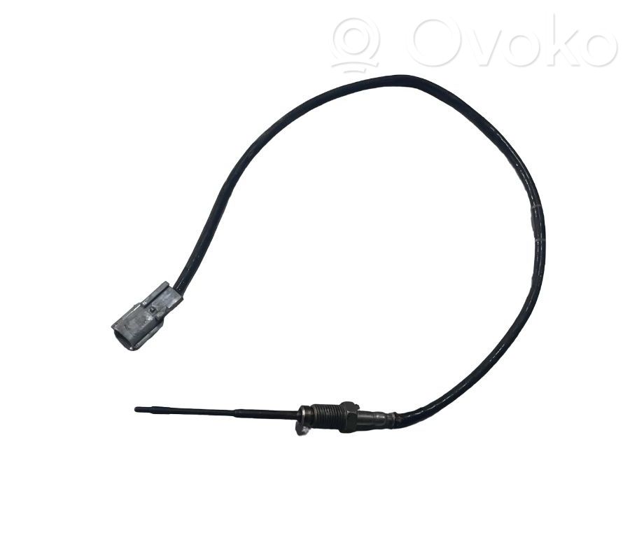 Abgastemperatursensor   226401632R