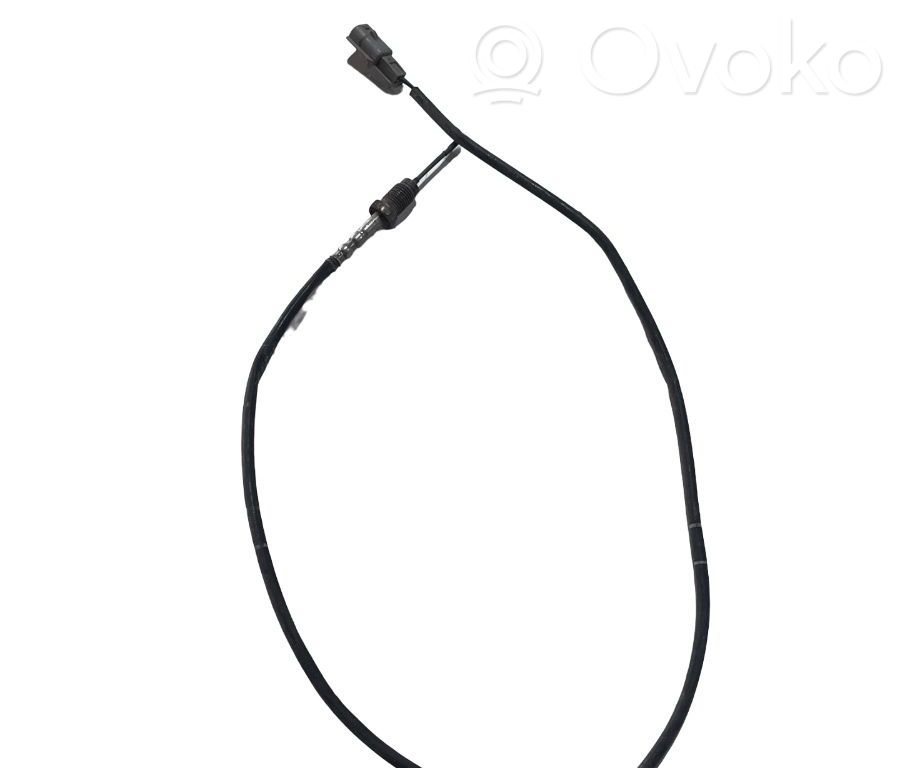 Abgastemperatursensor   226406229R