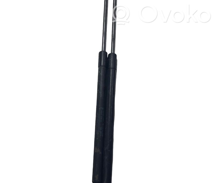 Jambe de force de hayon   8A61A406A10AC