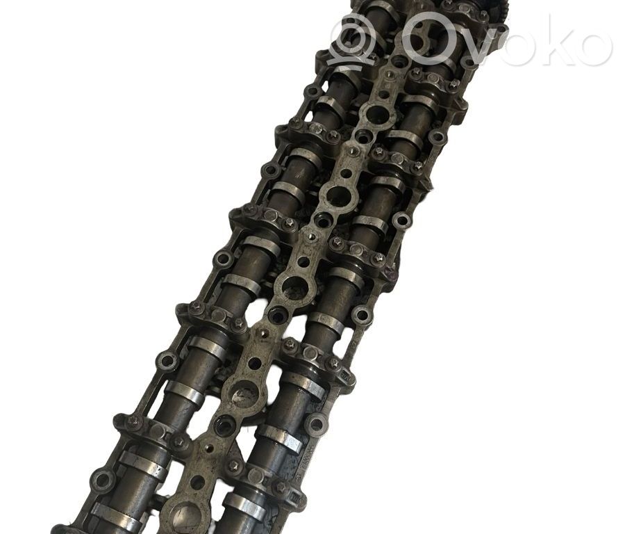 Sadales vārpsta   7800044
