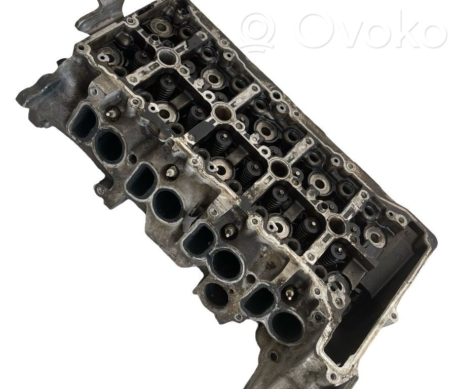 Galvutė   7797678