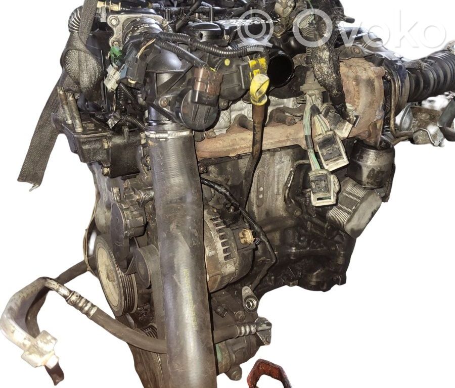 Ford Focus C-MAX Motor 