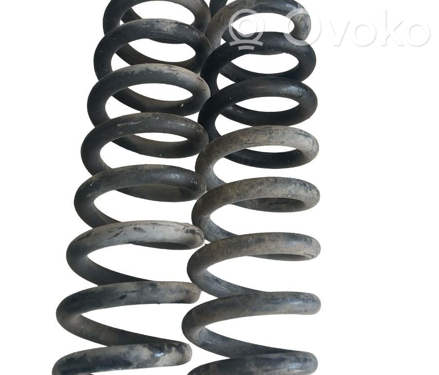 Rear coil spring
