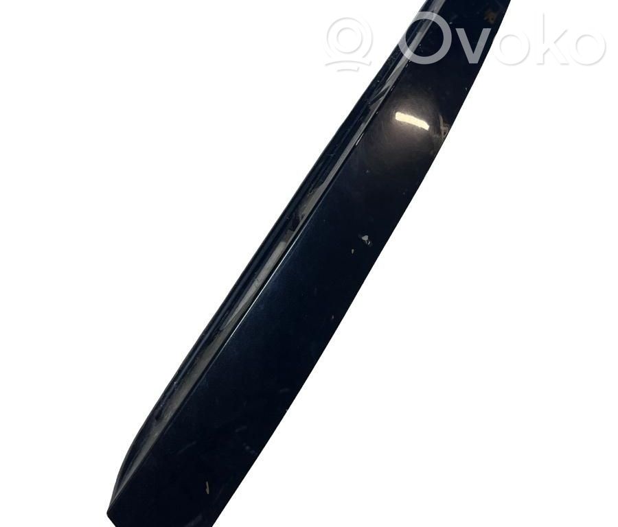 Moldura de la puerta trasera   G21C50811