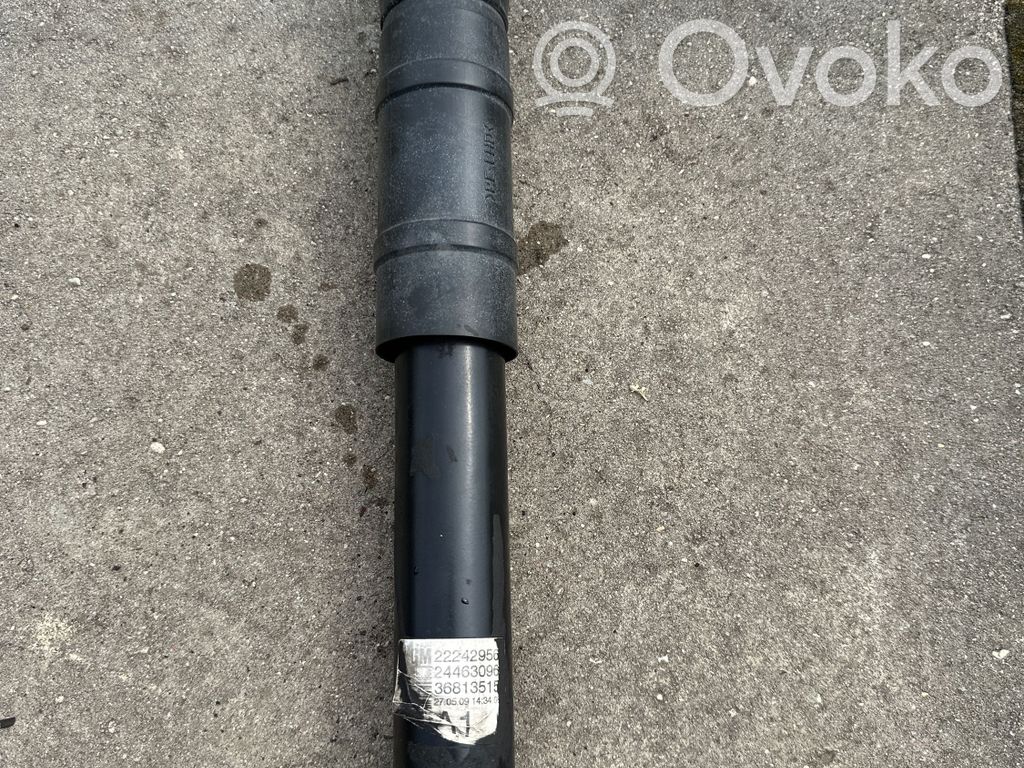 Opel Astra H Amortiguador trasero 