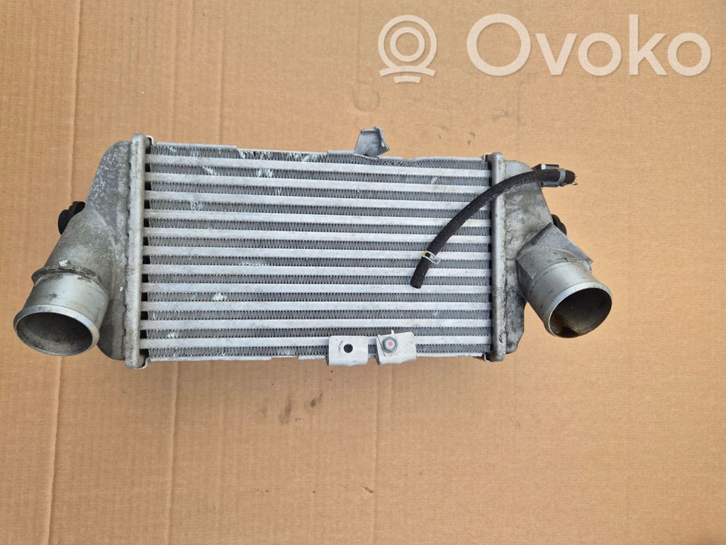 Intercooler radiator   2827004610