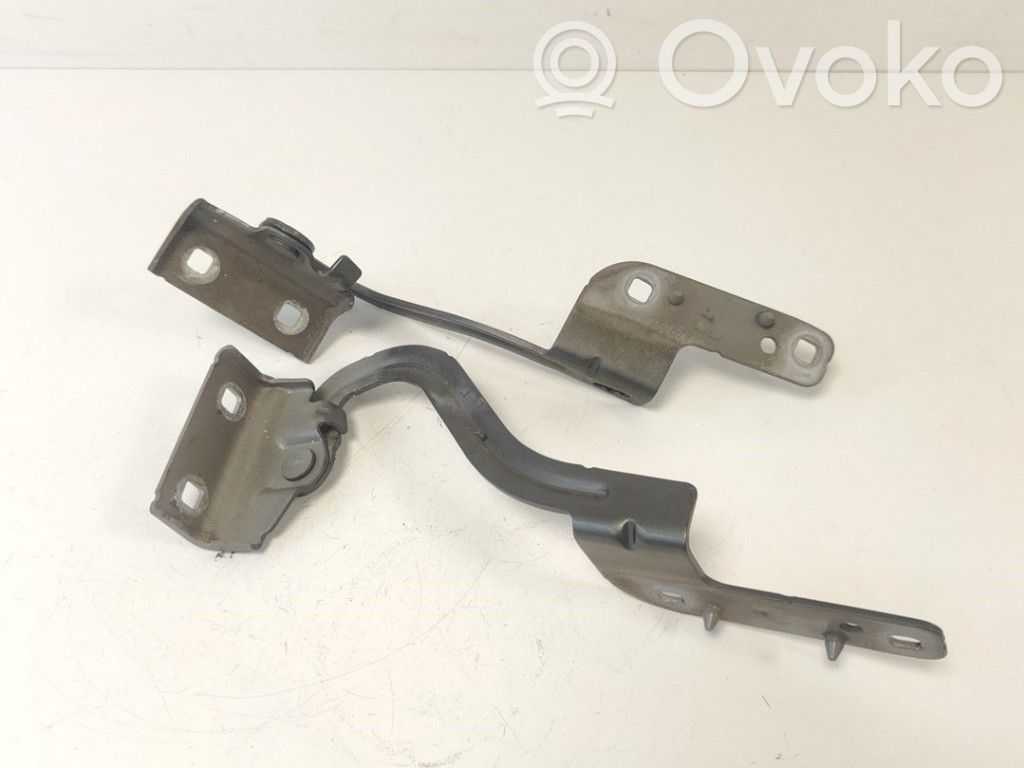 Renault Modus Engine bonnet/hood hinges 