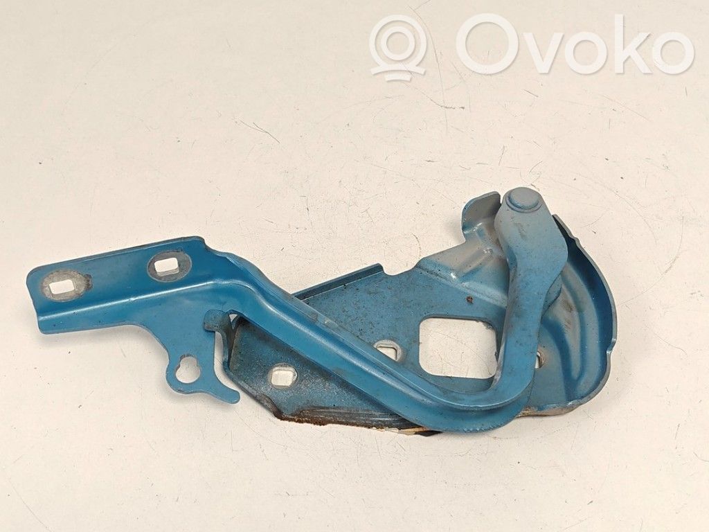 Ford Ka Dzinēja pārsega eņģe (-es) 