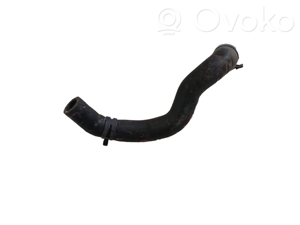 Engine coolant pipe/hose   059131555C