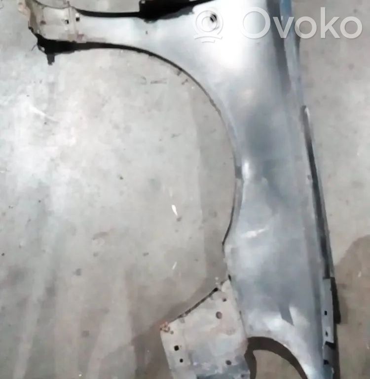 Guardabarro   8D0821105