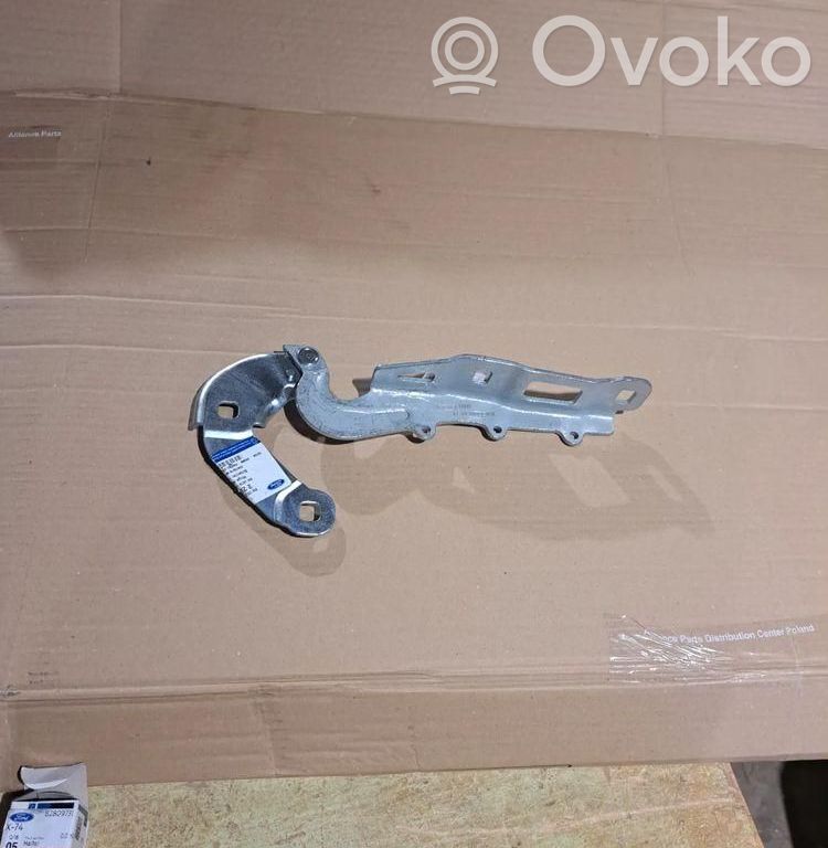 Ford Focus Dzinēja pārsega eņģe (-es) 