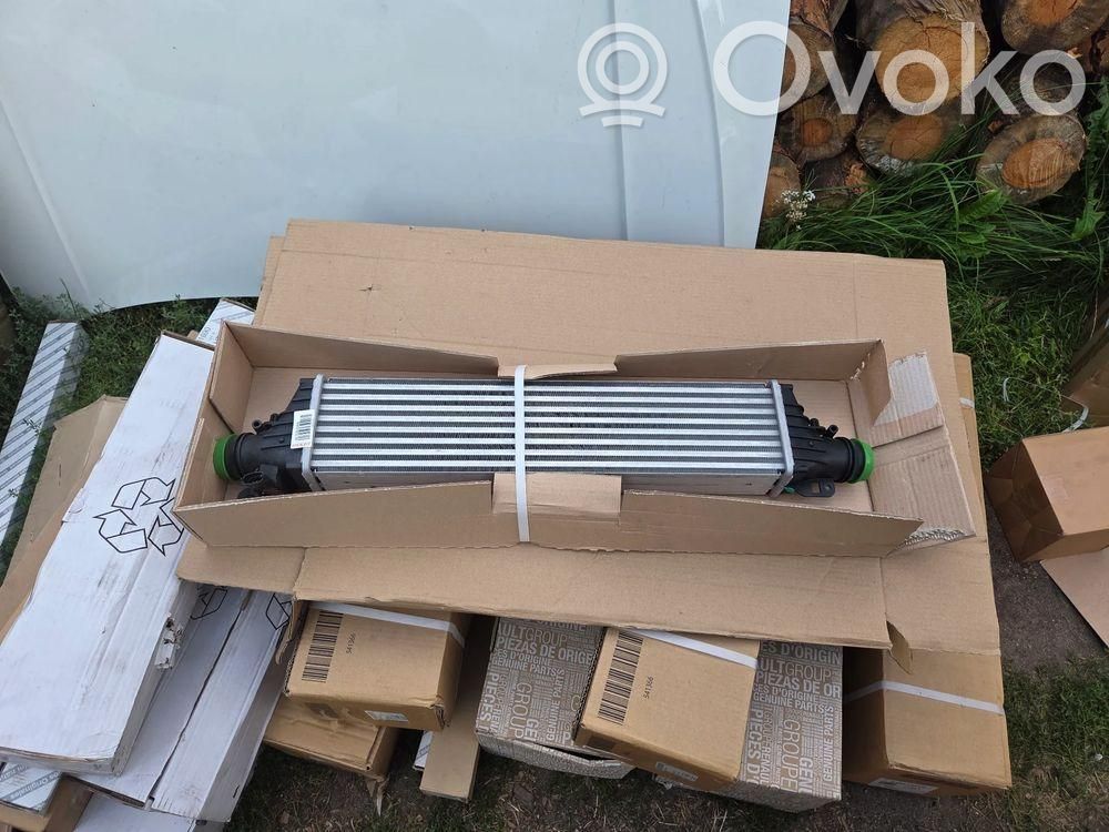 Intercooler radiator   13440206,OPC