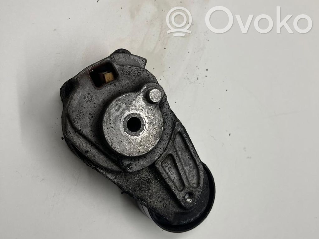 Mercedes-Benz ML W164 Napinacz paska alternatora 