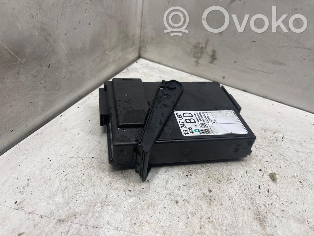 Other control units/modules   13247087