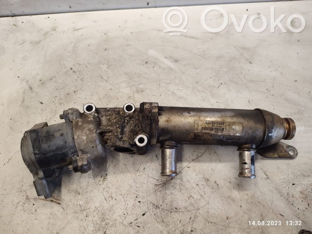 Peugeot 407 Valvola EGR 