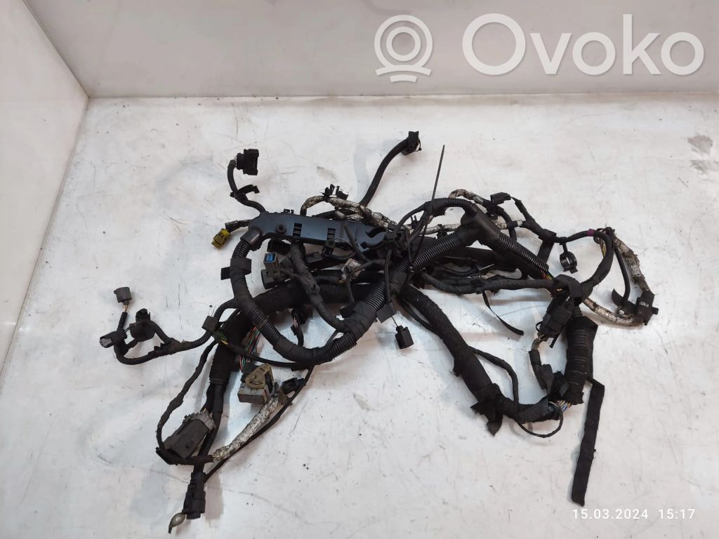 Ford Transit Custom Engine installation wiring loom 