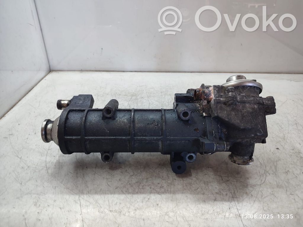 Fiat Ducato Refrigerador de la válvula EGR 