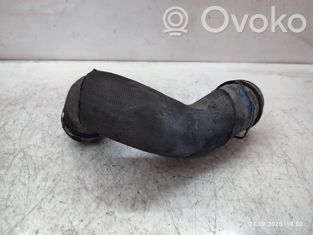 Volkswagen Phaeton Air intake hose/pipe 
