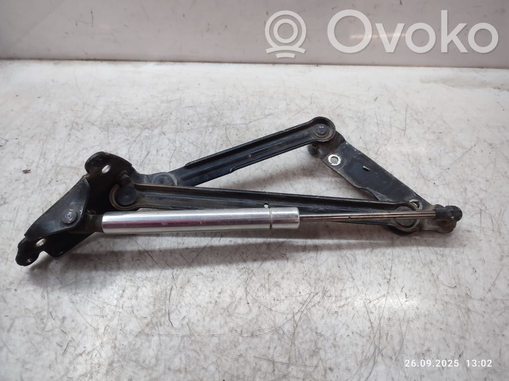Volkswagen Phaeton Tailgate/trunk/boot hinge 