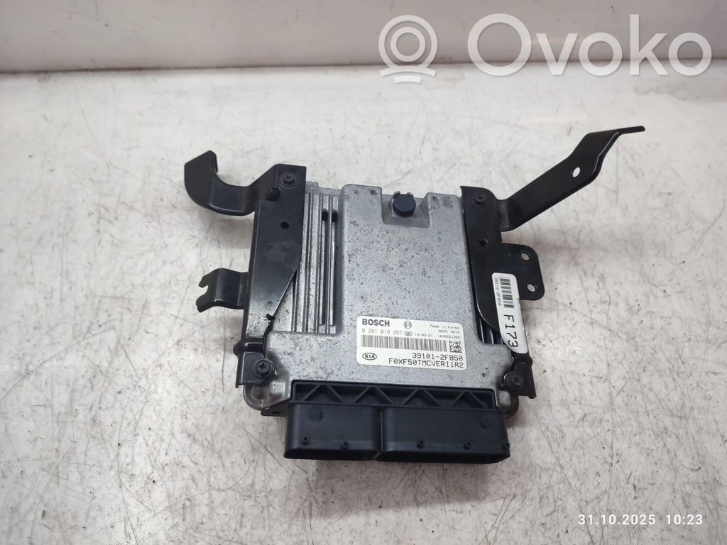 Engine control unit/module   391012F850,0281019257