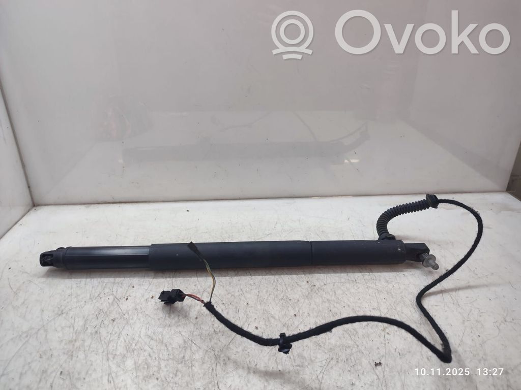 BMW X6 E71 Tailgate/trunk strut/damper 