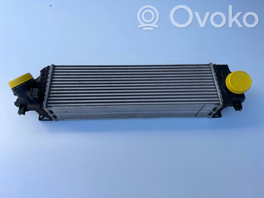 BMW 1 F40 Interkūlerio radiatorius 