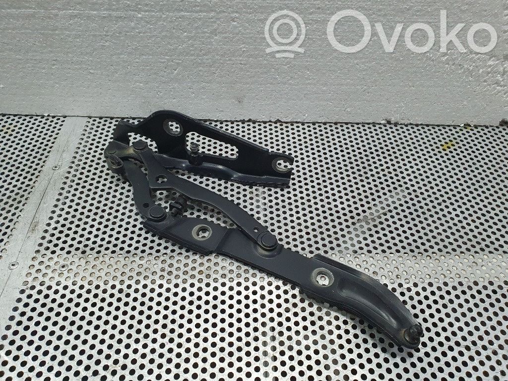 Tailgate/trunk/boot hinge   706062807